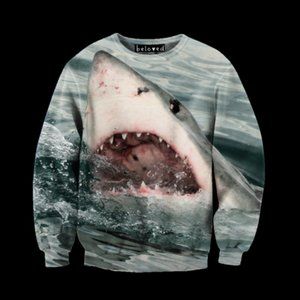 Shark Sweatshirt